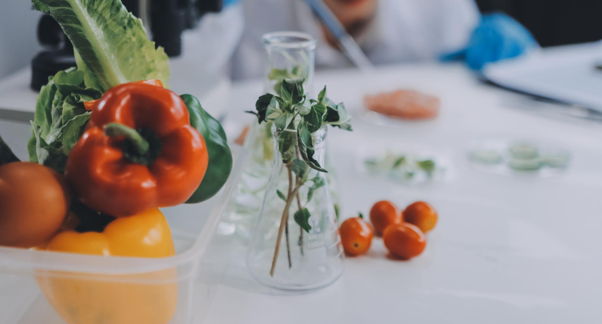 Ingredienti freschi e strumenti da cucina